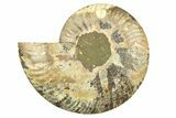 Cut & Polished Ammonite Fossil (Half) - Madagascar #308097-1